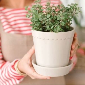 Jilly Box Summer 2022 Planter
